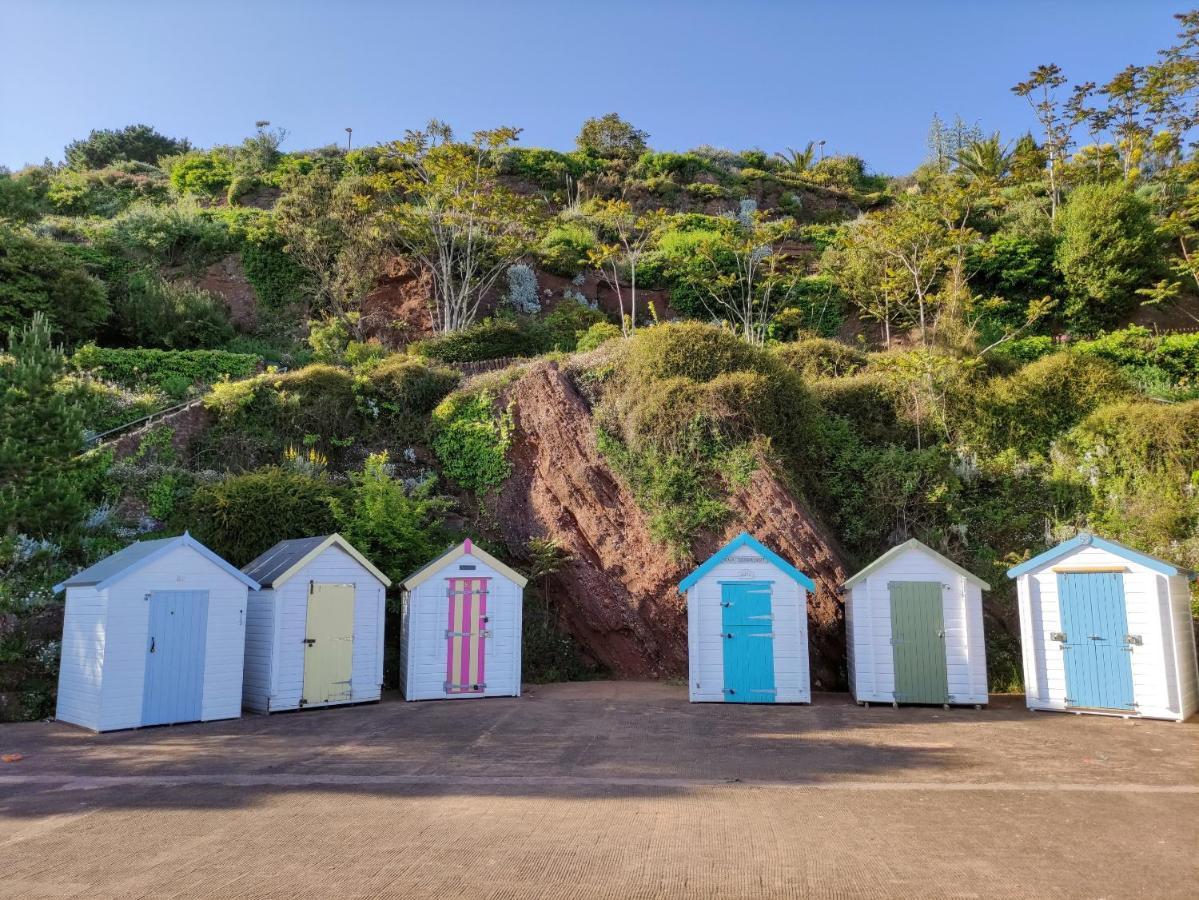Cleve Court Paignton
